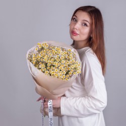 buket polevyh romashek 4